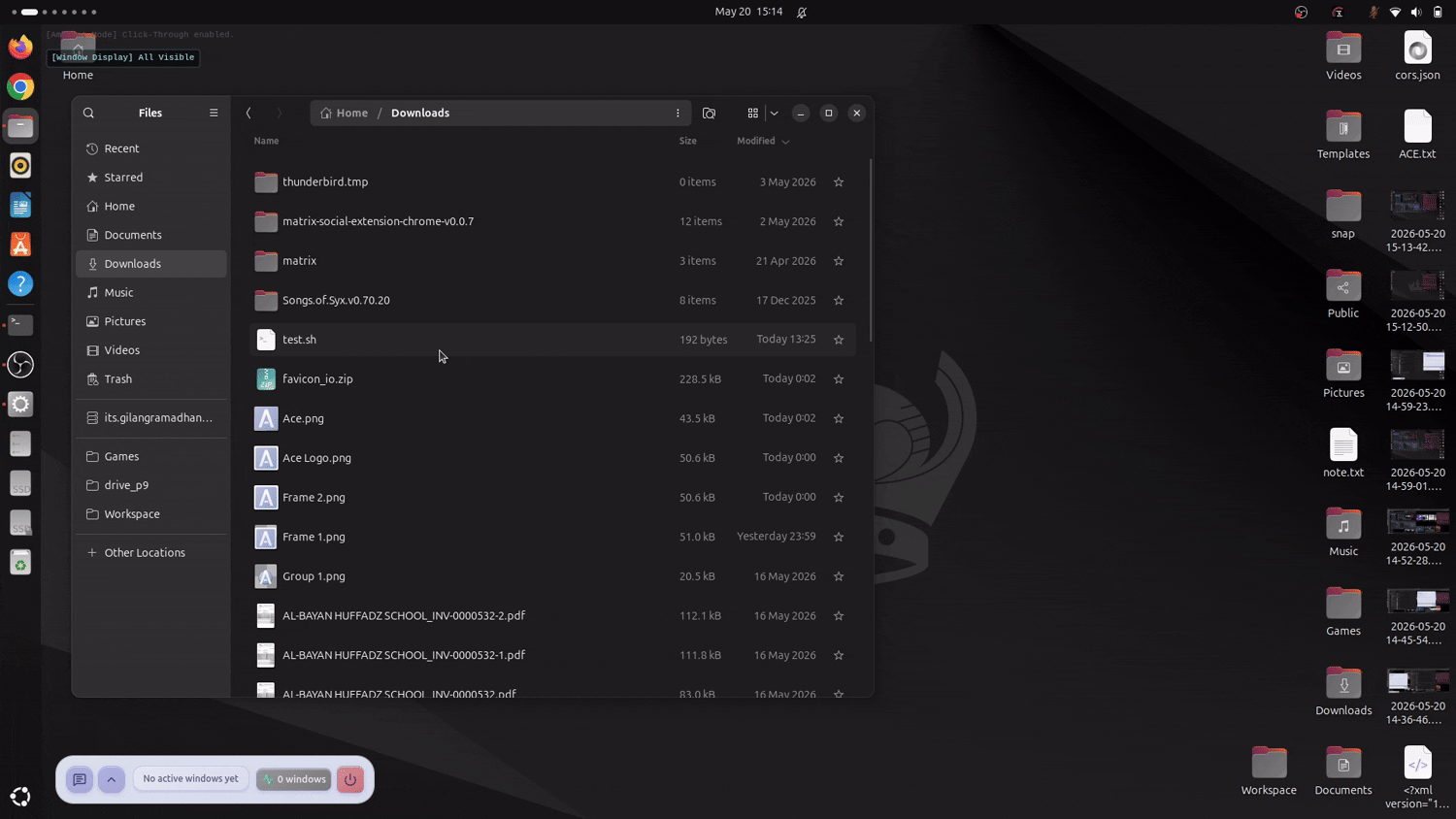 ACE windowing system demo